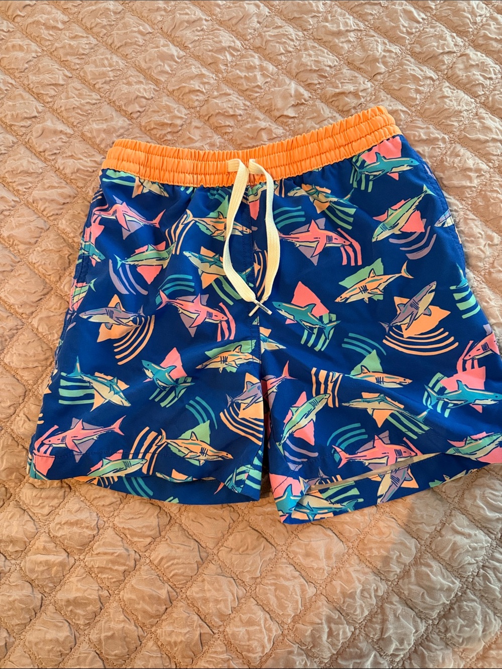Chubbies classic swim trunks